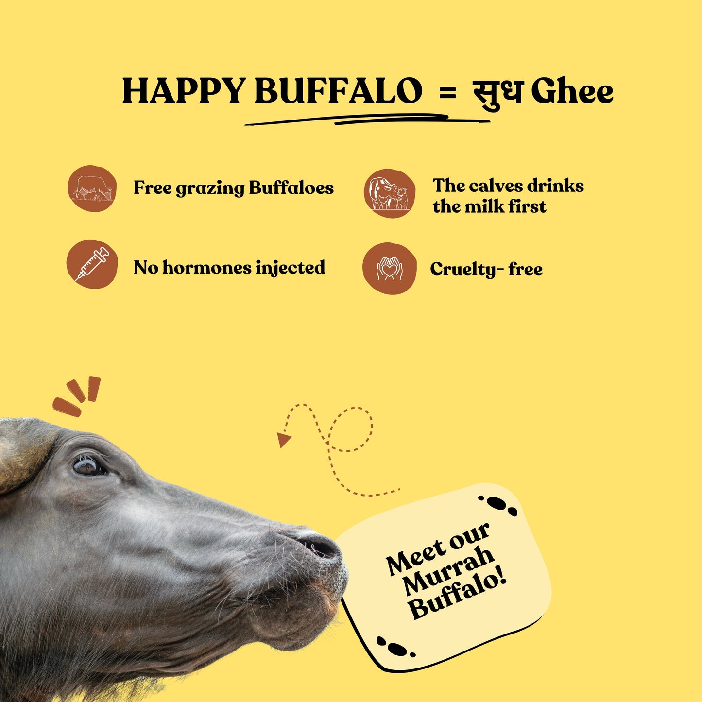 A2 Buffalo Desi Ghee - Bilona Churned