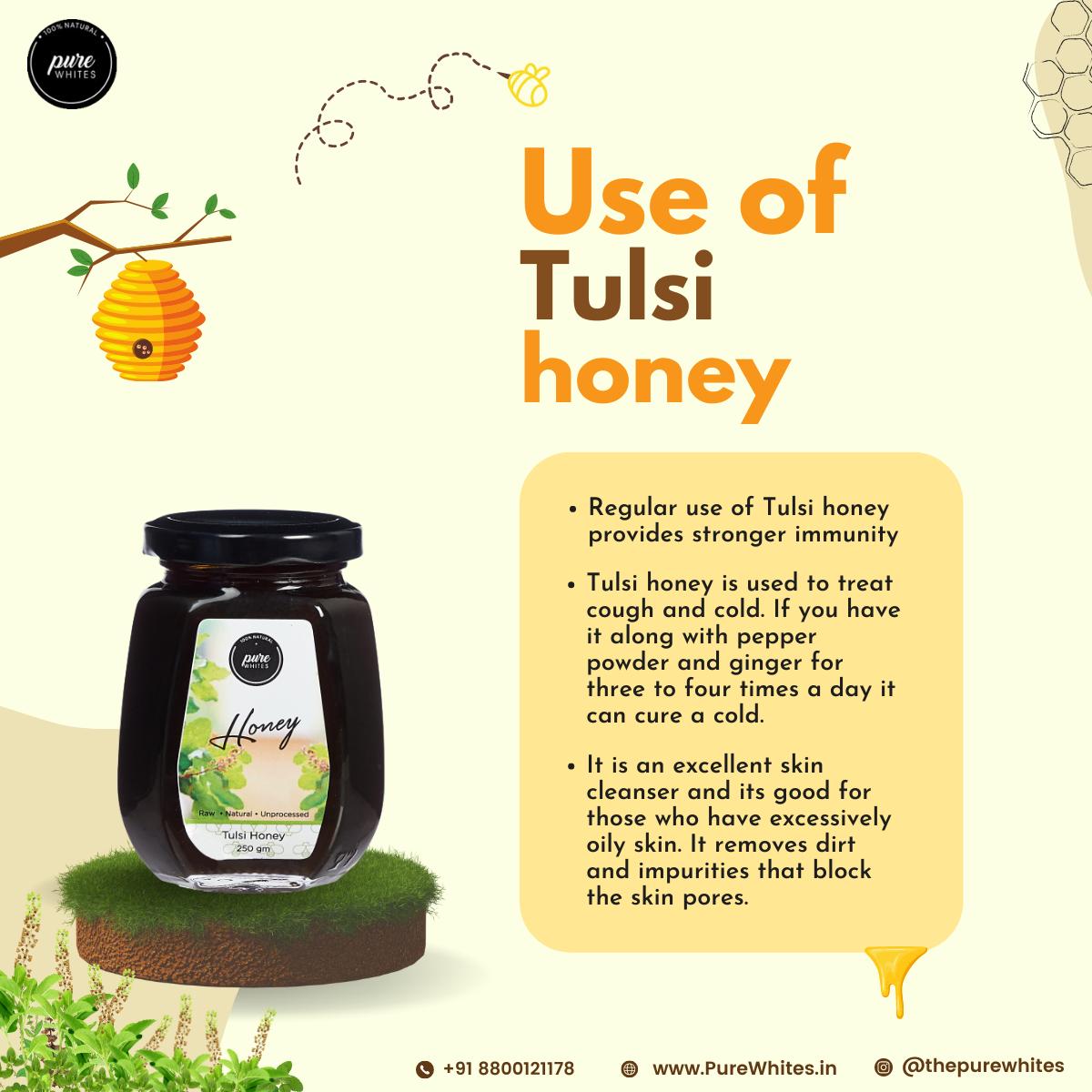 A2 Vedic Ghee (500ml) + Tulsi Honey (250g)