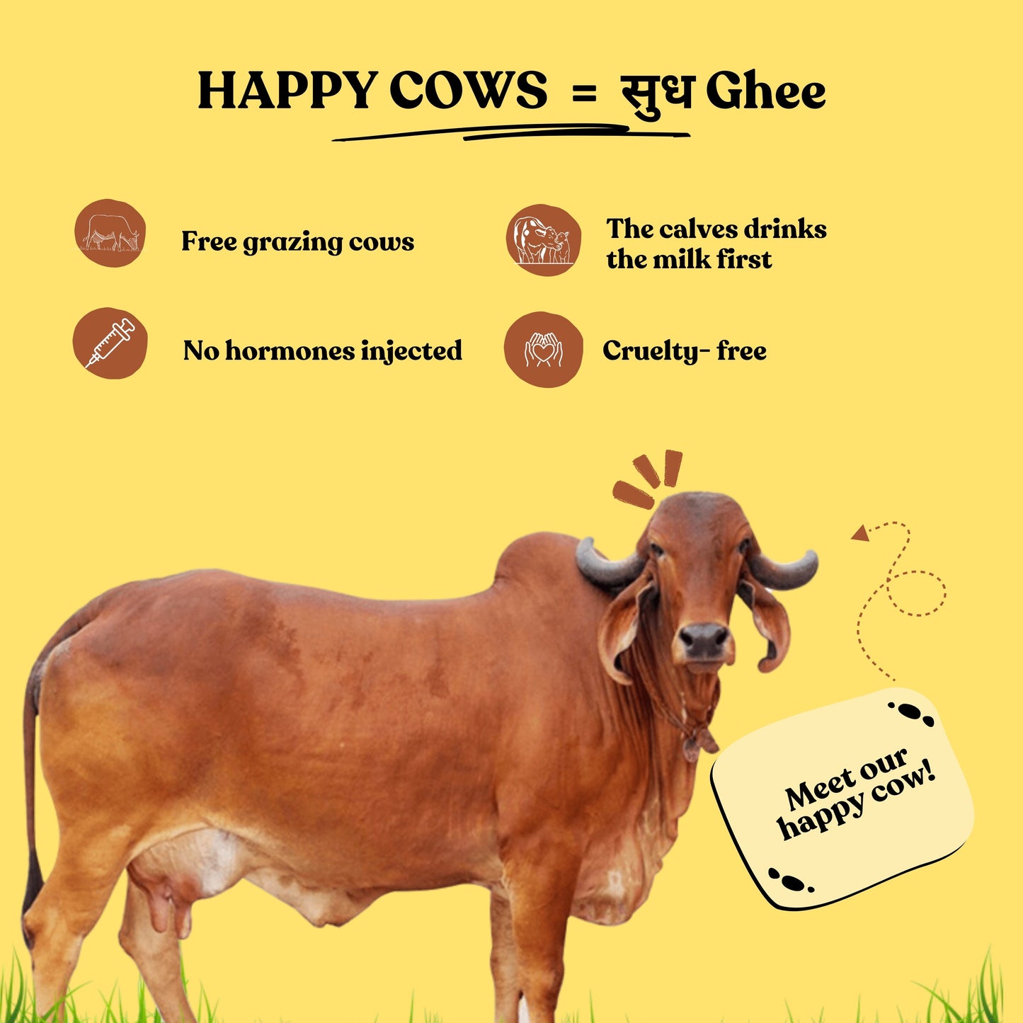 A2 Desi Cow Ghee - Bilona Churned
