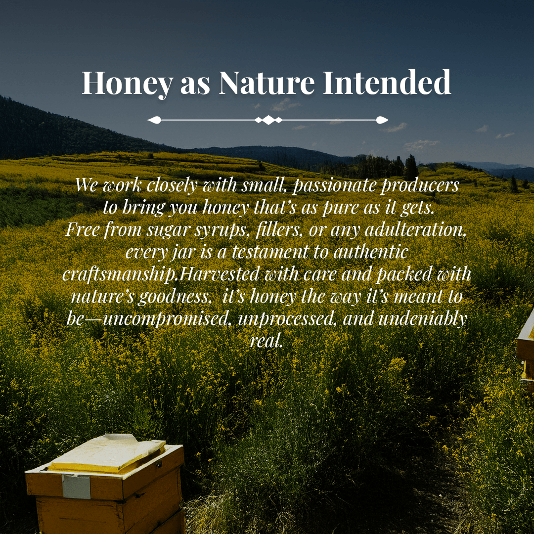 Sidr Honey - NMR Pass - Featured