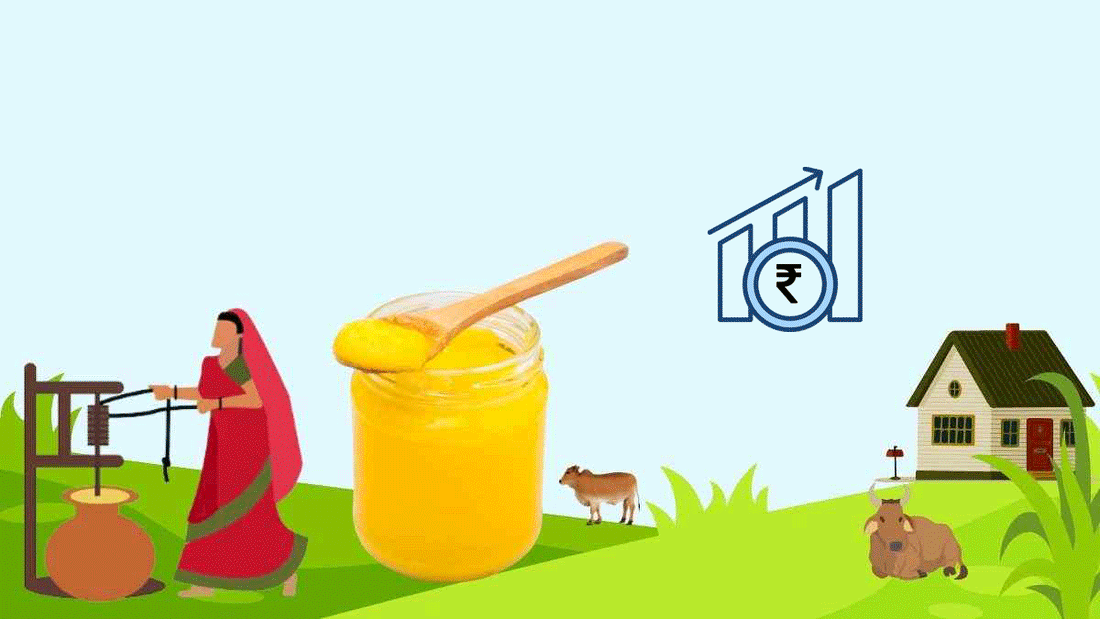 Why Is A2 Gir Cow Ghee So Expensive? A Breakdown of the Truth - Pure Whites