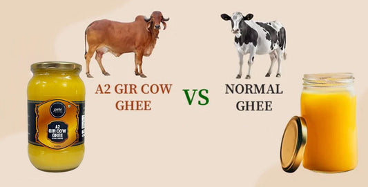 A2 Gir Cow Ghee vs Regular Cow Ghee: What’s the Difference? - Pure Whites
